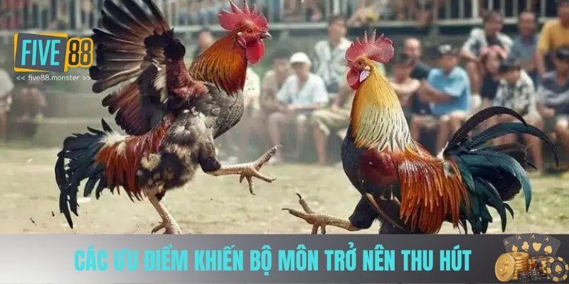 Các ưu điểm khiến bộ môn trở nên thu hút 