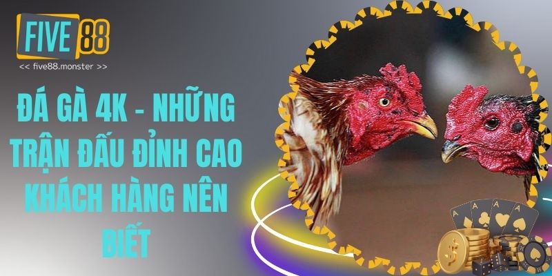 đá gà 4k