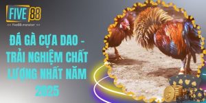 đá gà cựa dao thumb