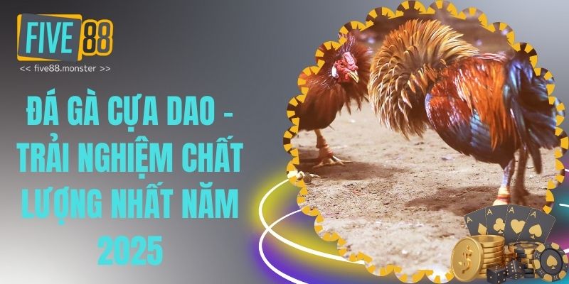 đá gà cựa dao thumb
