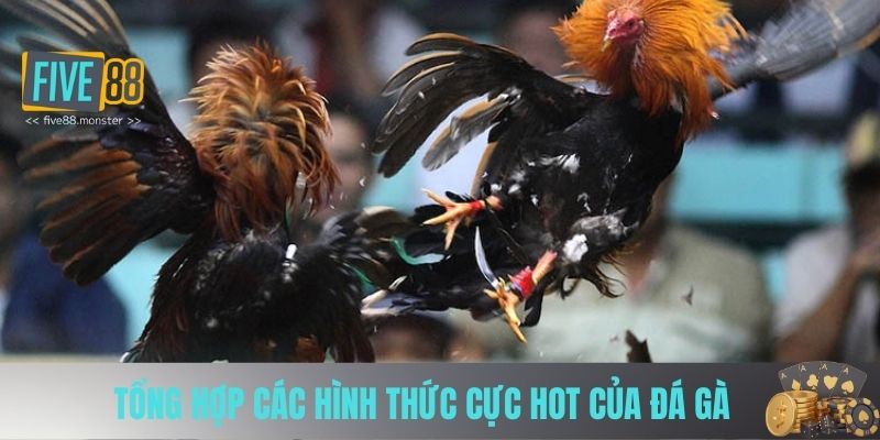 Tổng hợp các hình thức cực hot của đá gà 